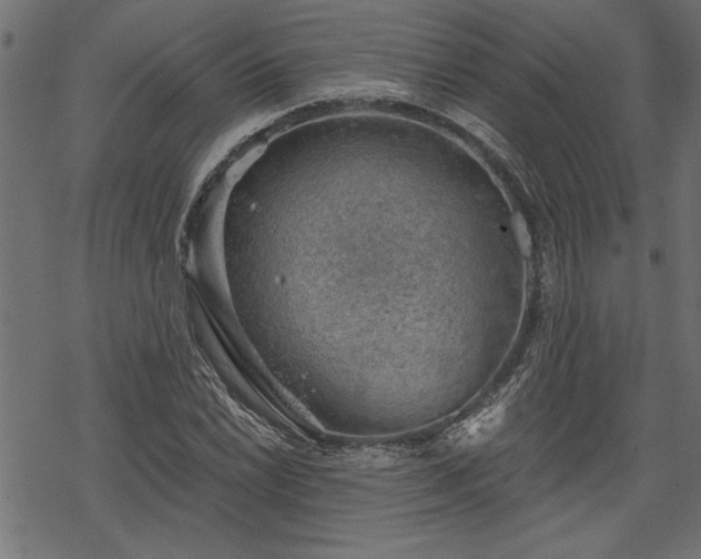 X0000068851022200605081209