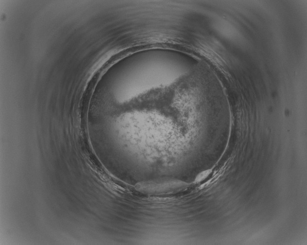 X0000068851023200605081209