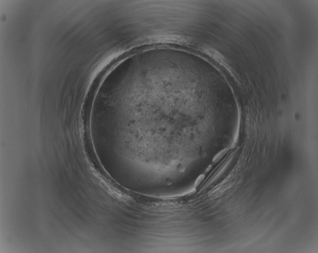 X0000068851024200605081209