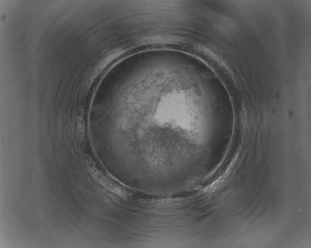 X0000068851025200605081209