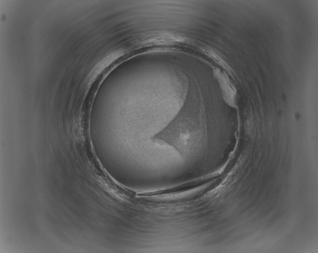 X0000068851026200605081209