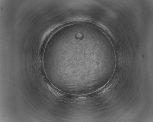 X0000068851027200605081209