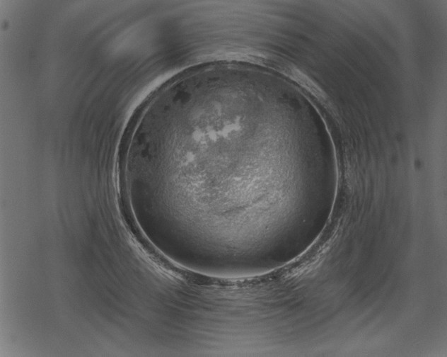 X0000068851028200605081209