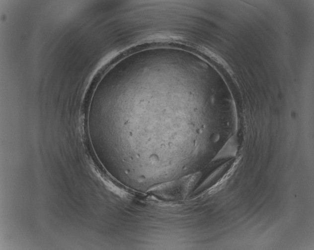 X0000068851029200605081209