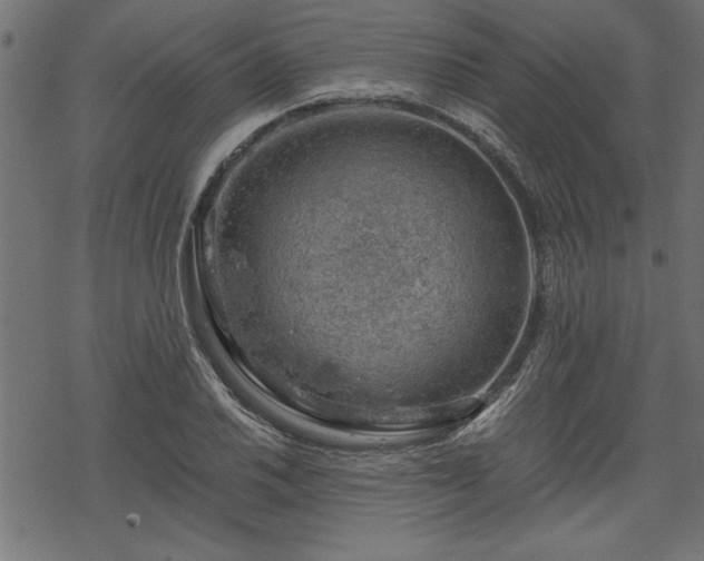 X0000068851030200605081209