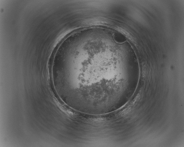 X0000068851031200605081209