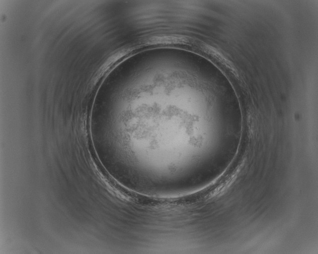 X0000068851033200605081209