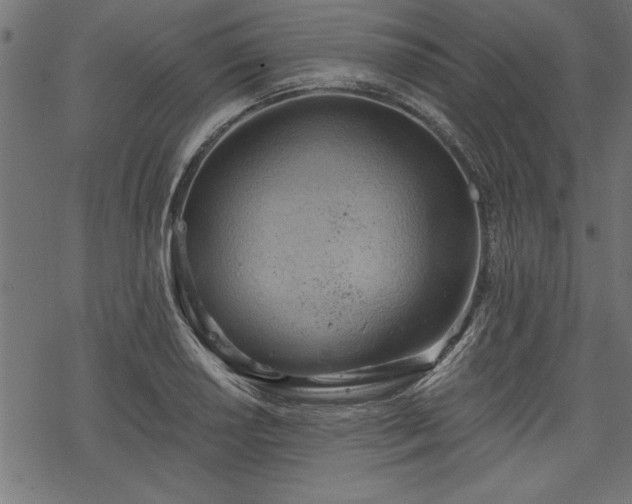 X0000068851034200605081209