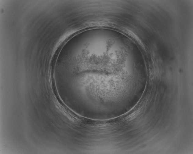 X0000068851035200605081209