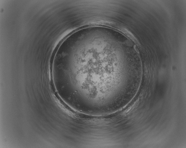 X0000068851036200605081209