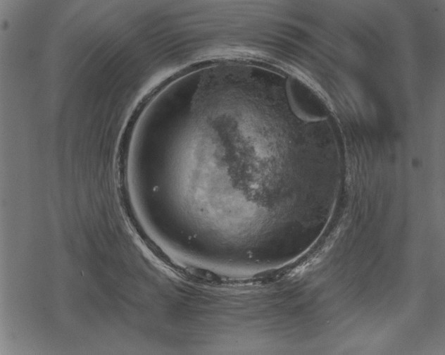 X0000068851037200605081209