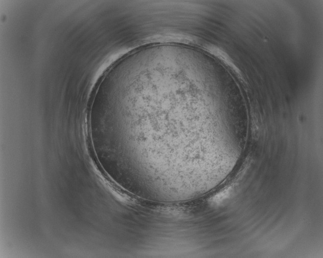 X0000068851040200605081209