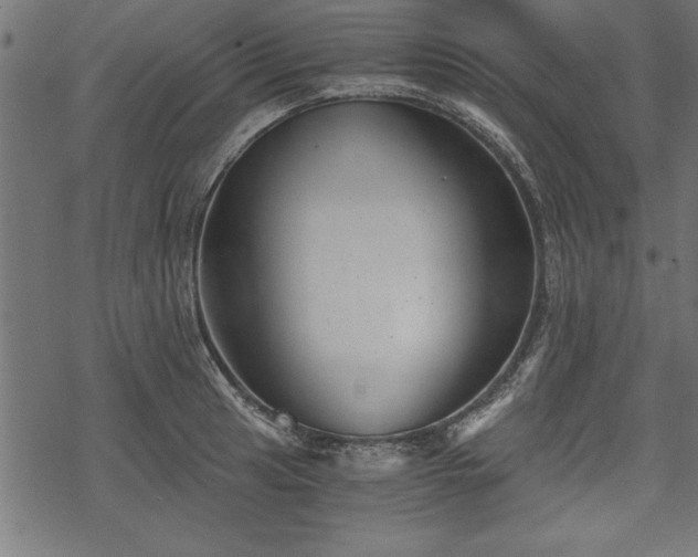 X0000068851041200605081210