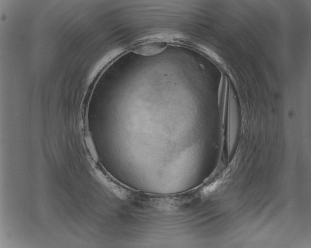 X0000068851042200605081210