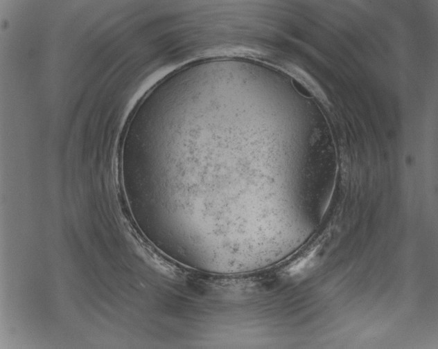 X0000068851044200605081210