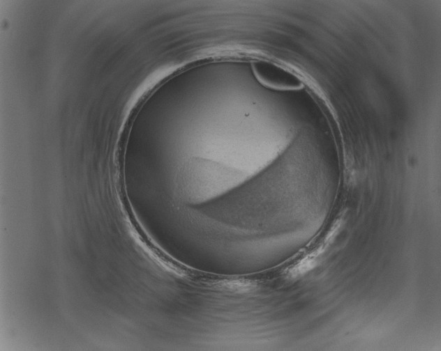 X0000068851045200605081210