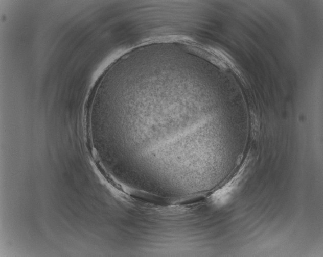 X0000068851046200605081210