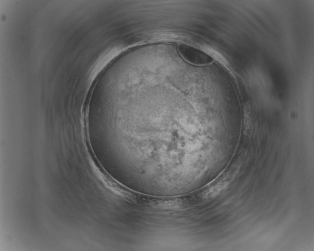 X0000068851047200605081210