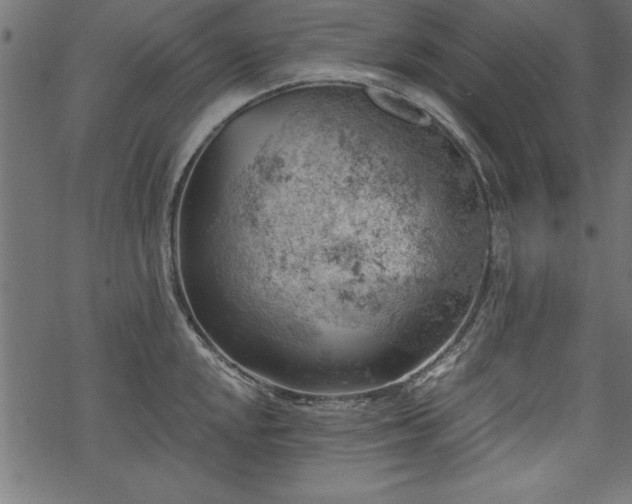 X0000068851048200605081210