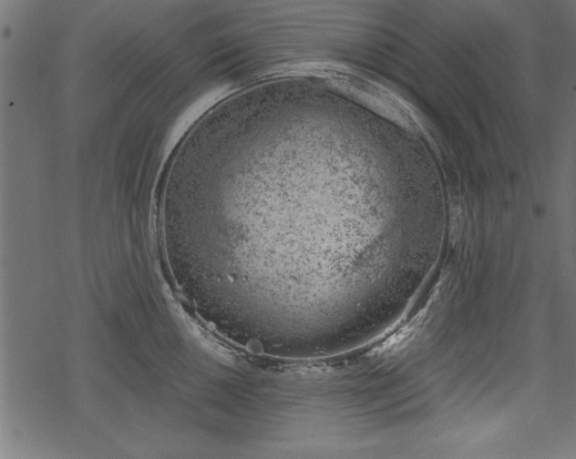 X0000068851050200605081210