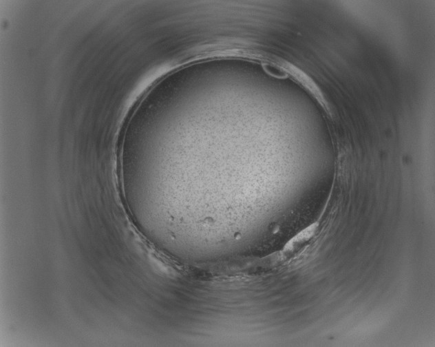 X0000068851051200605081210