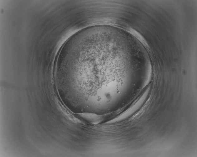 X0000068851052200605081210