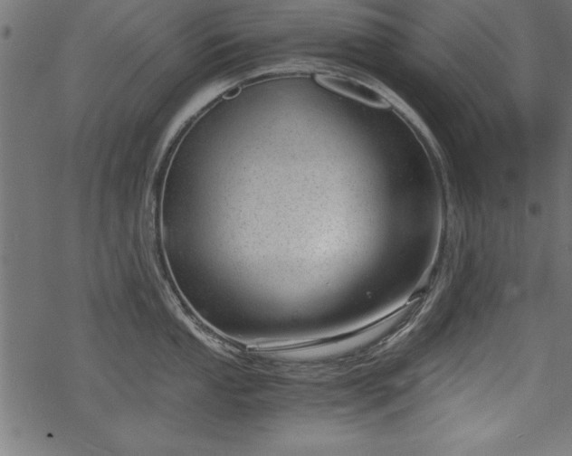 X0000068851053200605081210