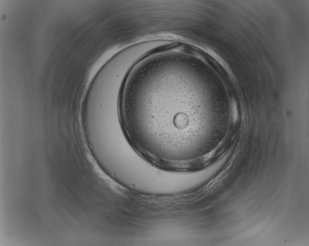 X0000068851054200605081210