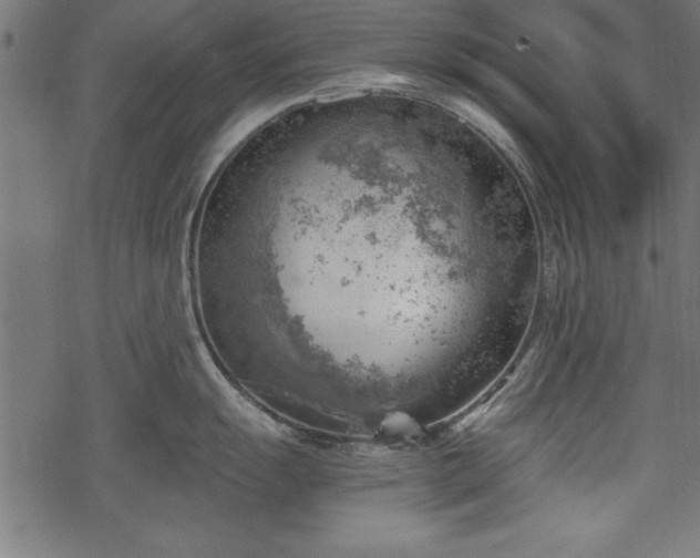 X0000068851055200605081210