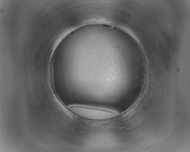 X0000068851056200605081210