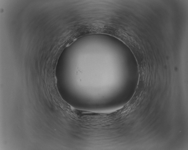 X0000068851057200605081209