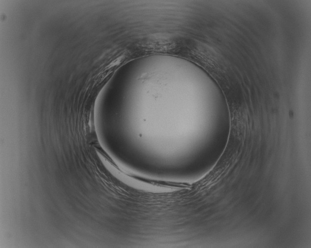 X0000068851058200605081209