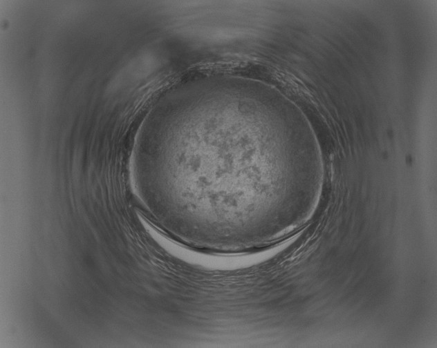 X0000068851059200605081209