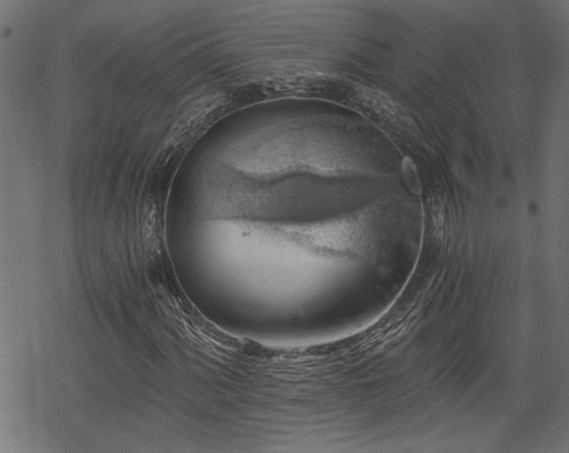 X0000068851060200605081209