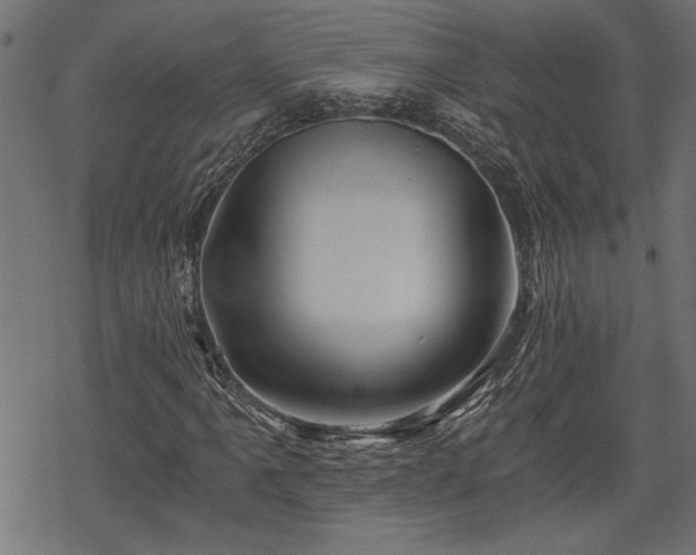 X0000068851061200605081209