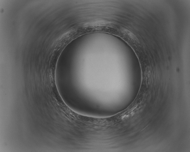 X0000068851062200605081209