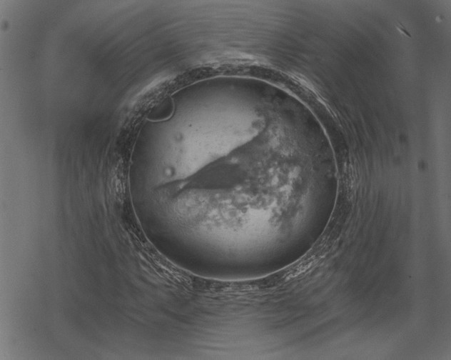 X0000068851063200605081209