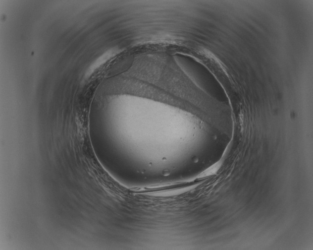 X0000068851064200605081209