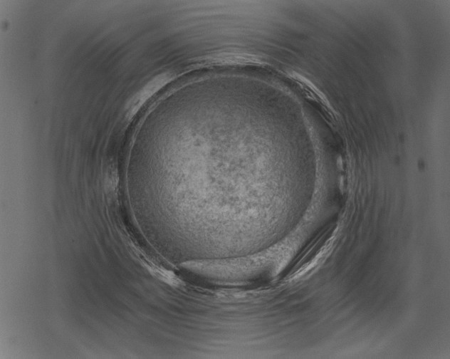 X0000068851065200605081209