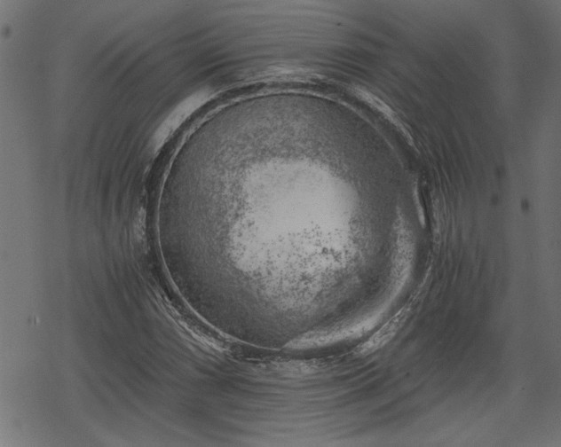 X0000068851066200605081209