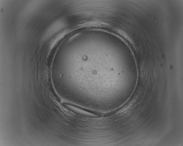 X0000068851067200605081209