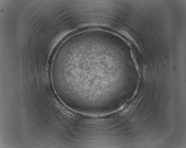 X0000068851068200605081209