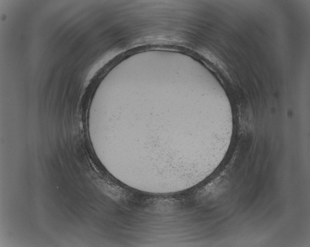 X0000068851070200605081209