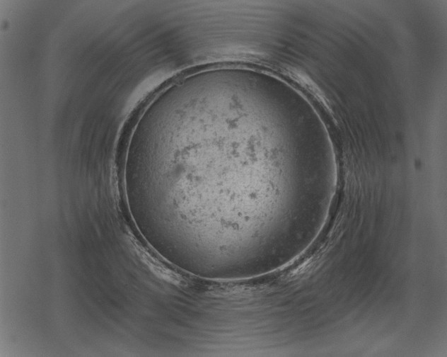 X0000068851072200605081209