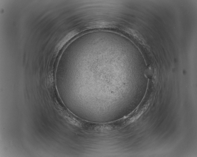 X0000068851073200605081209