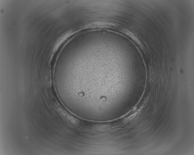 X0000068851075200605081209