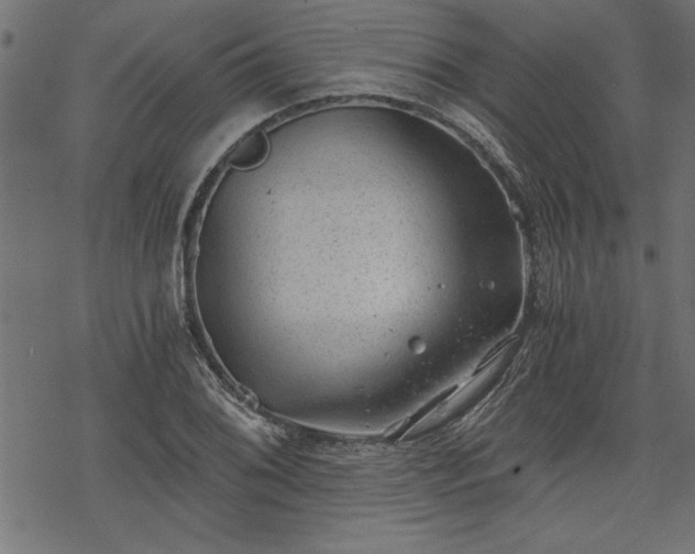 X0000068851076200605081209