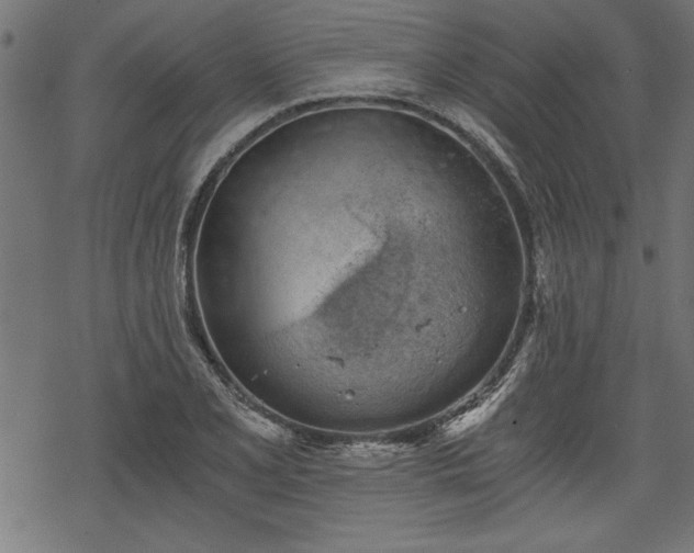 X0000068851077200605081209