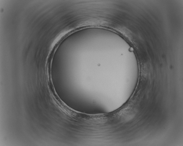 X0000068851078200605081209