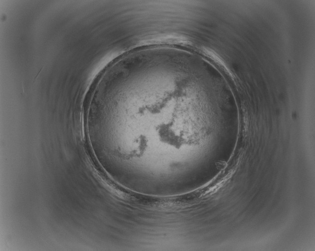 X0000068851079200605081209